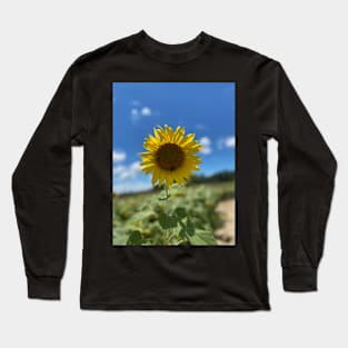 Sunflower Spotlight Long Sleeve T-Shirt